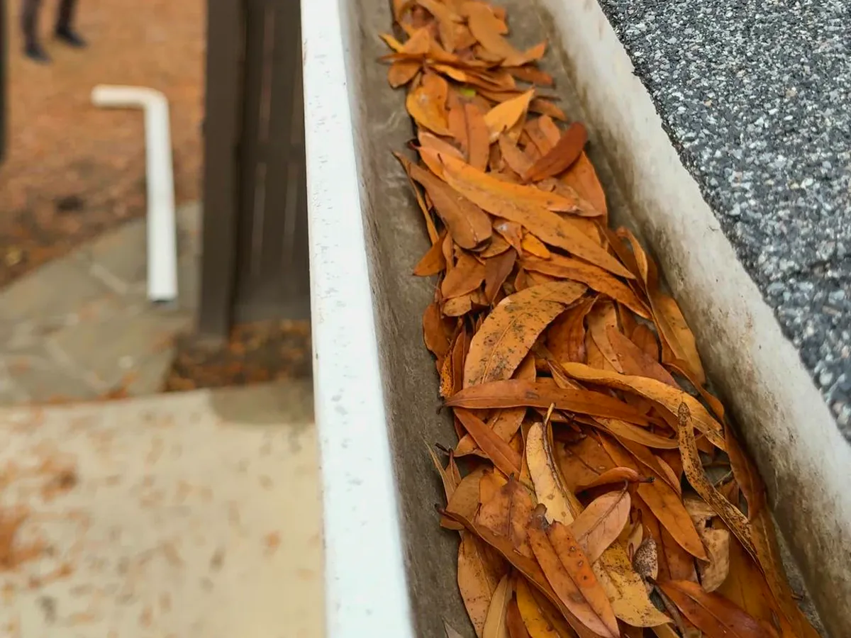 Gutter Cleaning